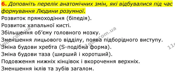 1. Розгляньте малюнки. Дайте письмові відповіді на запитання. — частина 6 — ГДЗ Робочий зошит Біологія 8 клас Тагліна (2025)