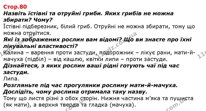 Назвіть їстівні та отруйні гриби. Яких грибів не можна збирати? Чому? — ГДЗ Я досліджую світ 1 клас Гільберг