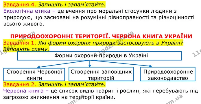 Стор. 101 — 4-2 — ГДЗ Робочий зошит з Біології 7 клас Яременко — ГДЗ Робочий зошит з Біології 7 клас Яременко