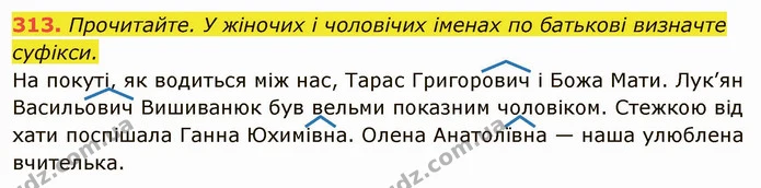 313. Прочитайте. У жіночих і чоловічих іменах по батькові визначте суфікси. — ГДЗ Українська мова 6 клас Глазова