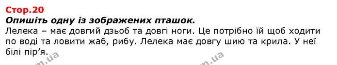 Опишіть одну із зображених пташок. — ГДЗ Я досліджую світ 1 клас Гільберг