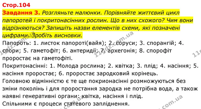 3. Як спорові рослини пристосувалися до життя на суходолі? — ГДЗ Біологія 7 клас Тагліна