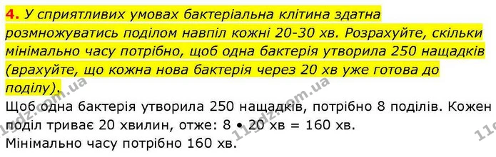 4. У сприятливих умовах бактеріальна клітина здатна розмножуватись поділом навпіл кожні 20–30 хв. Розрахуйте, скільки мінімально часу — ГДЗ робочий зошит Біологія 7 клас Кулініч