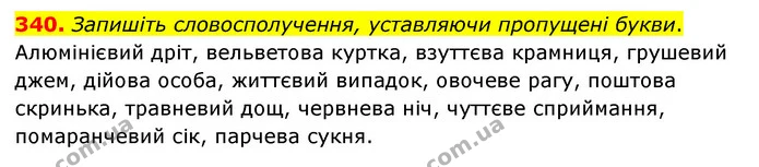 340. Запишіть словосполучення, уставляючи пропущені букви. — ГДЗ Українська мова 6 клас Голуб 2023