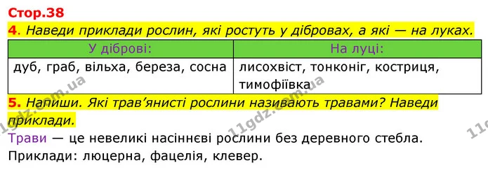 4. Наведи приклади рослин, які ростуть у дібровах, а які — на луках. — ГДЗ Робочий зошит Я досліджую світ 4 клас Грущинська
