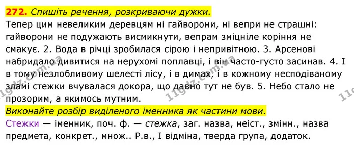 272. Спишіть речення, розкриваючи дужки. — ГДЗ Українська мова 6 клас Ворон, Солопенко