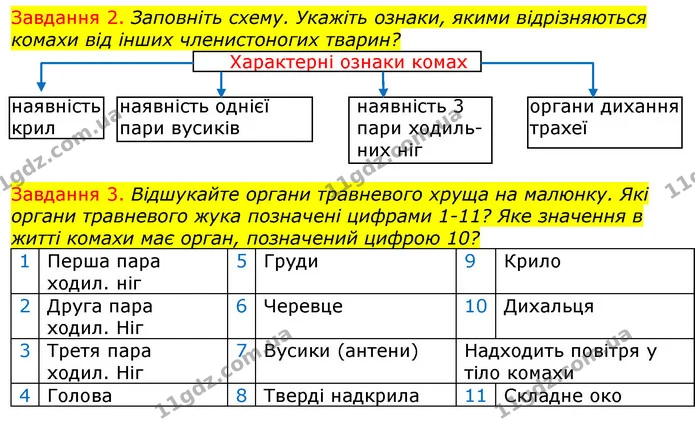 Стор. 25 — 2-3 — ГДЗ Робочий зошит з Біології 7 клас Яременко — ГДЗ Робочий зошит з Біології 7 клас Яременко