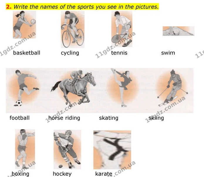 2. Write the names of the sports you see in the pictures. — ГДЗ Робочий зошит Англійська мова 6 клас Карпюк