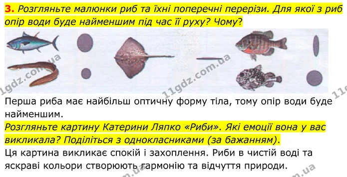 3. Розгляньте малюнки риб та їхні поперечні перерізи. Для якої з риб опір води буде найменшим під час її руху? Чому? — ГДЗ робочий зошит Біологія 7 клас Кулініч
