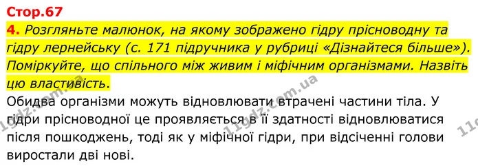 4. Розгляньте малюнок, на якому зображено гідру прісноводну та гідру лернейську (с. 171 підручника у рубриці «Дізнайтеся більше») — ГДЗ робочий зошит Біологія 7 клас Кулініч