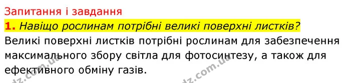 1. Навіщо рослинам потрібні великі поверхні листків? — ГДЗ Біологія 7 клас Тагліна
