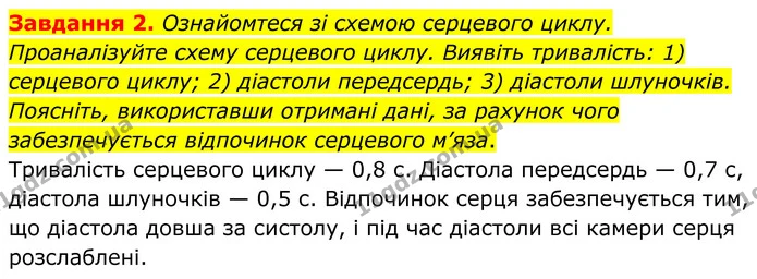 Стор. 51 — 2 — ГДЗ робочий зошит Біологія 8 клас Андерсон — ГДЗ робочий зошит Біологія 8 клас Андерсон