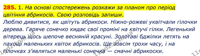 285. 1. На основі спостережень розкажи за планом про період цвітіння абрикосів. Свою розповідь запиши. — ГДЗ Українська мова та читання 3 клас Кравцова (1 частина)