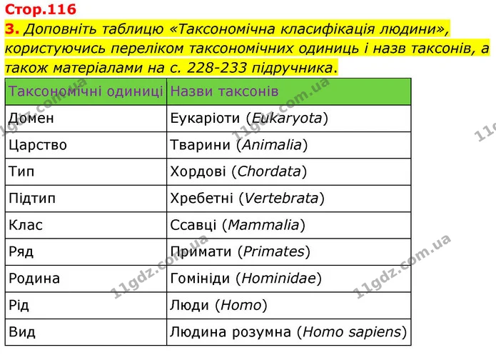 1. Розгляньте малюнки. Дайте письмові відповіді на запитання. — частина 3 — ГДЗ Робочий зошит Біологія 8 клас Тагліна (2025)