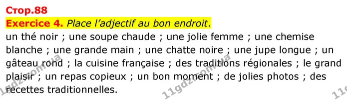 Exercice 4. Place l’adjectif au bon endroit. — ГДЗ Французька мова 7 клас Чумак