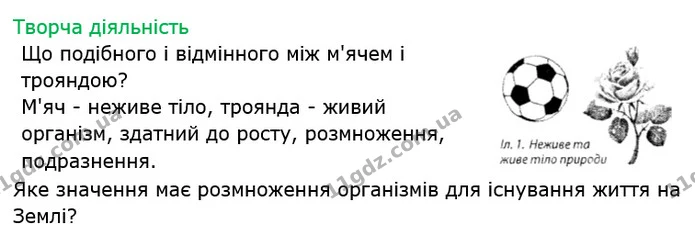 Стор. 6 — 3 — ГДЗ Робочий зошит Біологія 6 клас Соболь — ГДЗ Робочий зошит Біологія 6 клас Соболь