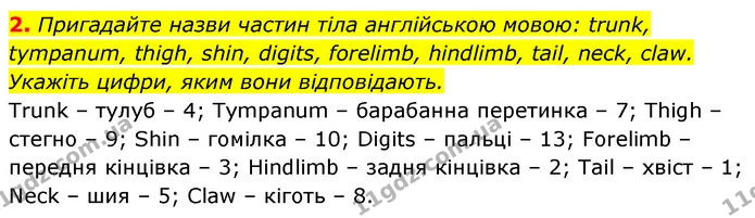 2. Пригадайте назви частин тіла англійською мовою: trunk, tympanum, thigh, shin, digits, forelimb, hindlimb, tail, neck, claw. Укажіть — ГДЗ Біологія 7 клас Тагліна