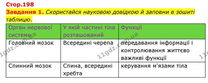 Стор. 198 — 1 — ГДЗ Пізнаємо природу 6 клас Коршевнюк — ГДЗ Пізнаємо природу 6 клас Коршевнюк