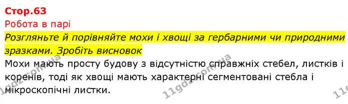 1. За яких умов в Україні можливо виростити деревоподібні папороті: диксонію та ціатею? — ГДЗ Біологія 7 клас Тагліна