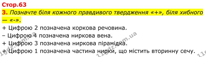 1. Позначте й підпишіть на малюнку назви тих органів сечовидільної системи людини, які ви знаєте. — частина 3 — ГДЗ Робочий зошит Біологія 8 клас Тагліна (2025)