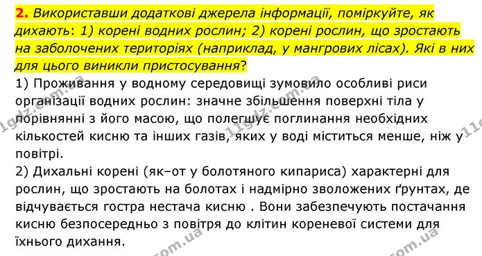 2. Чи є в рослин спеціальні органи дихання? Чим дихають рослини? — ГДЗ Пізнаємо природу 6 клас Мідак