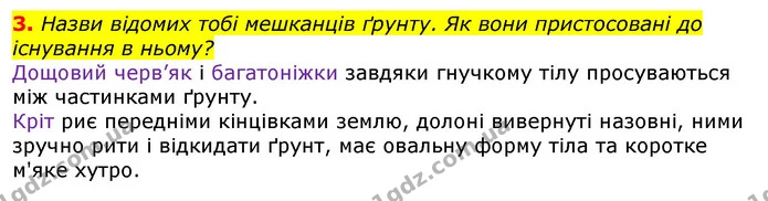 3. Назви відомих тобі мешканців ґрунту. Як вони пристосовані до існування в ньому? — ГДЗ Природознавство 5 клас Коршевнюк