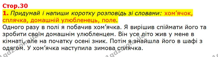1. Придумай і напиши коротку розповідь зі словами: хом’ячок, сплячка, домашній улюбленець, поле. — ГДЗ Українська мова 2 клас Большакова 1 ч. - 2 ч.