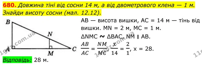 680. Довжина тіні від сосни 14 м, а від двометрового клена — 1 м. Знайди висоту сосни (мал. 12.12). — ГДЗ Геометрія 8 клас Бевз