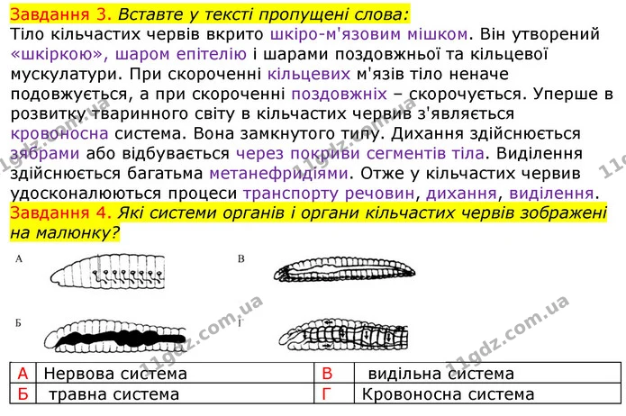 Стор. 17 — 3-4 — ГДЗ Робочий зошит з Біології 7 клас Яременко — ГДЗ Робочий зошит з Біології 7 клас Яременко