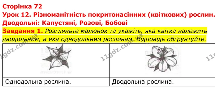 1. Розгляньте малюнок та укажіть, яка квітка належить дводольним, а яка однодольним рослинам. Відповідь обґрунтуйте. — ГДЗ Робочий зошит Біологія 7 клас Мирна 2024
