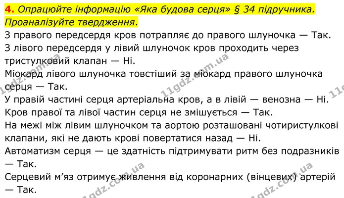 4. Опрацюйте інформацію «Яка будова серця» § 34 підручника. Проаналізуйте твердження. — ГДЗ Робочий зошит Біологія 8 клас Кулініч