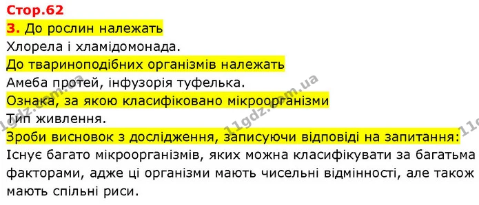 Стор. 62 — 3 — ГДЗ Робочий зошит Пізнаємо природу 6 клас Коршевнюк — ГДЗ Робочий зошит Пізнаємо природу 6 клас Коршевнюк
