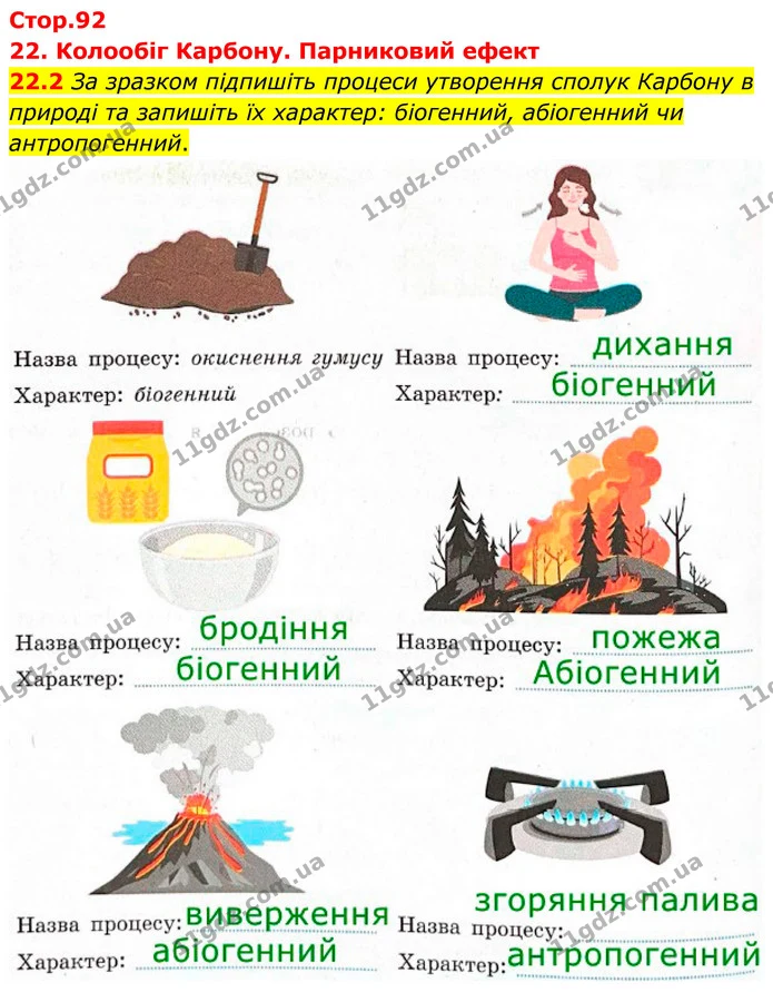 22.2 За зразком підпишіть процеси утворення сполук Карбону в природі та запишіть їх характер: біогенний, абіогенний чи антропогенний. — ГДЗ Робочий зошит Хімія 8 клас Григорович
