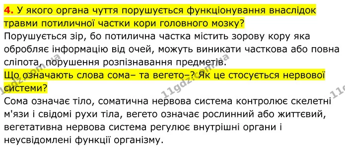 4. У якого органа чуття порушується функціонування внаслідок травми потиличної частки кори головного мозку? — ГДЗ Біологія 8 клас Балан