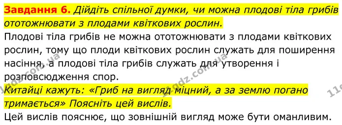 6. Дійдіть спільної думки, чи можна плодові тіла грибів ототожнювати з плодами квіткових рослин. — ГДЗ Робочий зошит Біологія 7 клас Мирна 2024