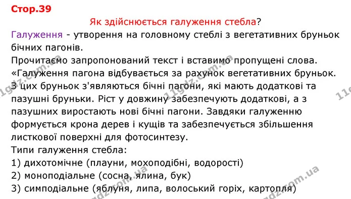 Стор. 39 — 1 — ГДЗ Робочий зошит Біологія 6 клас Соболь — ГДЗ Робочий зошит Біологія 6 клас Соболь