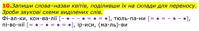10. Запиши слова–назви квітів, поділивши їх на склади для переносу. Зроби звукові схеми виділених слів. — ГДЗ Українська мова та читання 3 клас Захарійчук 2020