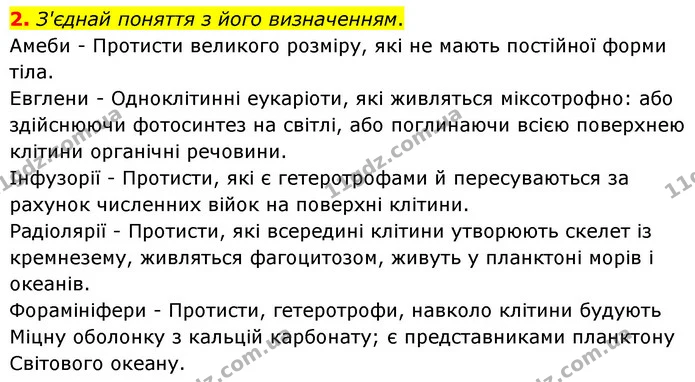 2. З'єднай поняття з його визначенням. — ГДЗ робочий зошит Біологія 7 клас Тагліна