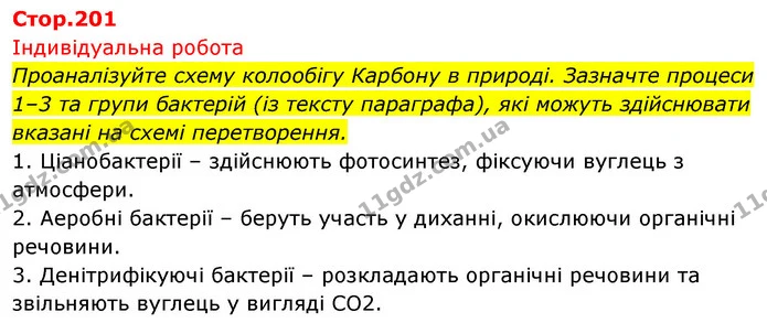 Проаналізуйте схему колообігу Карбону в природі. Зазначте процеси 1–3 та групи бактерій (із тексту параграфа), які можуть здійснювати — ГДЗ Біологія 7 клас Тагліна
