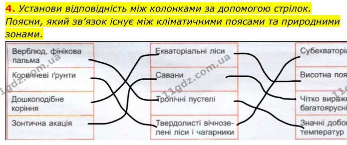 4. Установи відповідність між колонками за допомогою стрілок. Поясни, який зв’язок існує між кліматичними поясами та природними зонами. — ГДЗ робочий зошит Географія 7 клас Гільберг