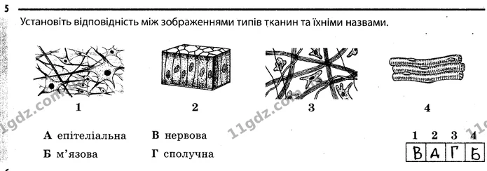 5 — ГДЗ Робочий зошит Біологія 7 клас Задорожний — ГДЗ Робочий зошит Біологія 7 клас Задорожний
