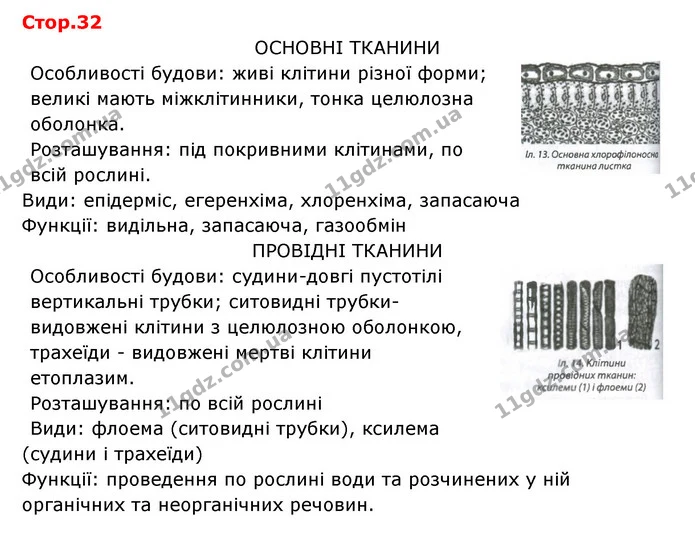 Стор. 32 — 1 — ГДЗ Робочий зошит Біологія 6 клас Соболь — ГДЗ Робочий зошит Біологія 6 клас Соболь