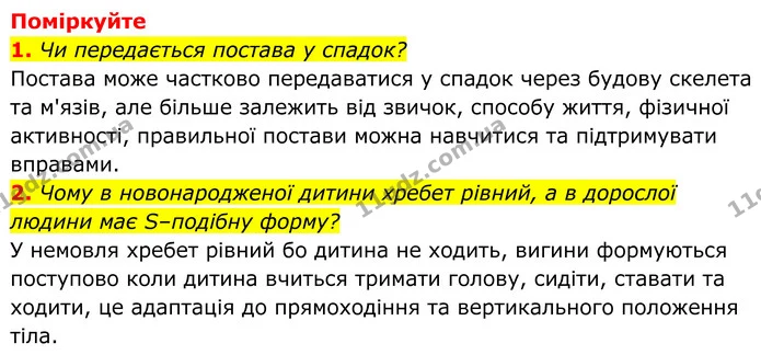 1. Плануючи «Дослідження залежності ефективності тренувань м’язів від ритму та навантаження на прикладі обраної групи школярів / — ГДЗ Біологія 8 клас Балан