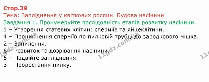 Стор. 39 — 1 — ГДЗ Робочий зошит Біологія 6 клас Мечник — ГДЗ Робочий зошит Біологія 6 клас Мечник