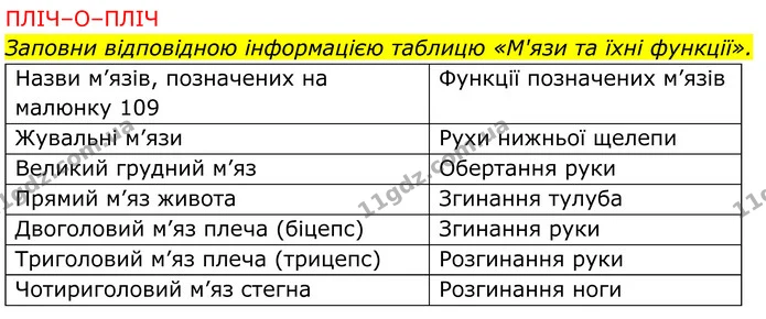 Стор. 74 — 2 — ГДЗ робочий зошит Пізнаємо природу 5 клас Коршевнюк — ГДЗ робочий зошит Пізнаємо природу 5 клас Коршевнюк