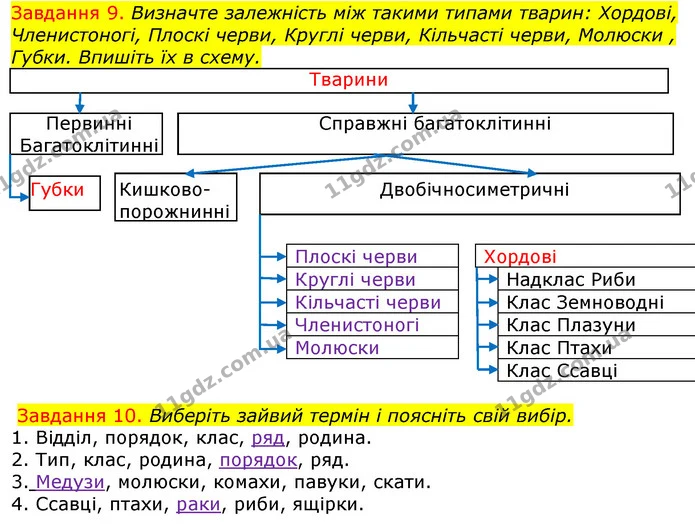Стор. 12 — 9-10 — ГДЗ Робочий зошит з Біології 7 клас Яременко — ГДЗ Робочий зошит з Біології 7 клас Яременко