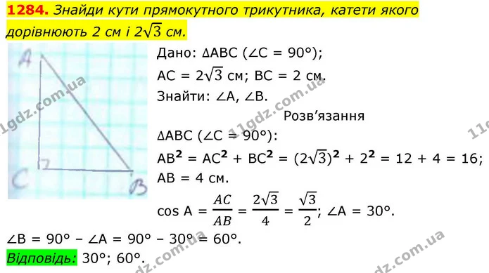 1284. Знайди кути прямокутного трикутника, катети якого дорівнюють 2 см і 23 см. — ГДЗ Геометрія 8 клас Бевз