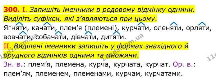 300. І. Запишіть іменники в родовому відмінку однини. Виділіть суфікси, які з’являються при цьому. — ГДЗ Українська мова 6 клас Заболотний 2020