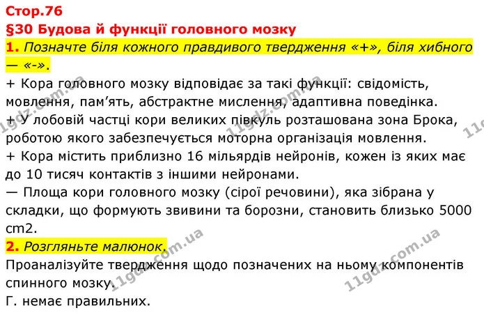1. Позначте біля кожного правдивого твердження «+», біля хибного — «-». — ГДЗ Робочий зошит Біологія 8 клас Тагліна (2025)