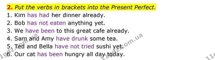 2. Put the verbs in brackets into the Present Perfect. — ГДЗ Зошит з граматики Англійська мова 5 клас Карпюк 2022